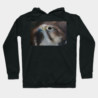 Saker Falcon Hoodie